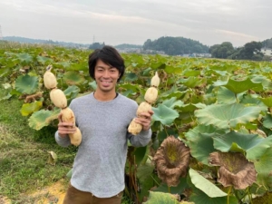 松本蓮園の「佐倉れんこん」　佐倉市